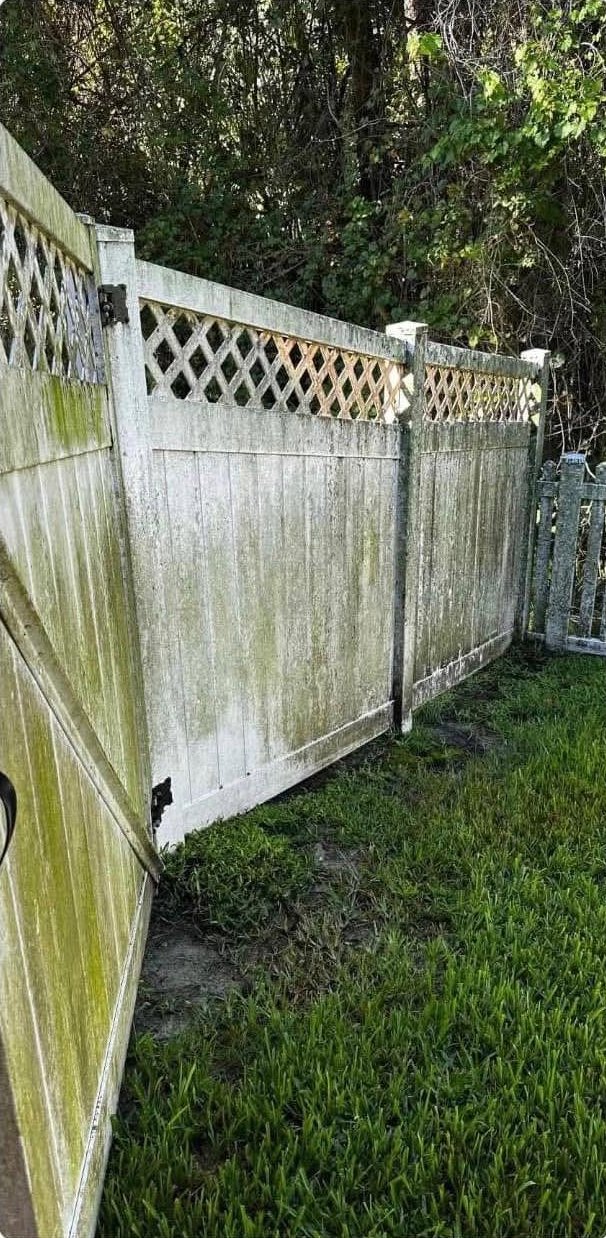 Vinyl fence covered in green buildup before cleaning.